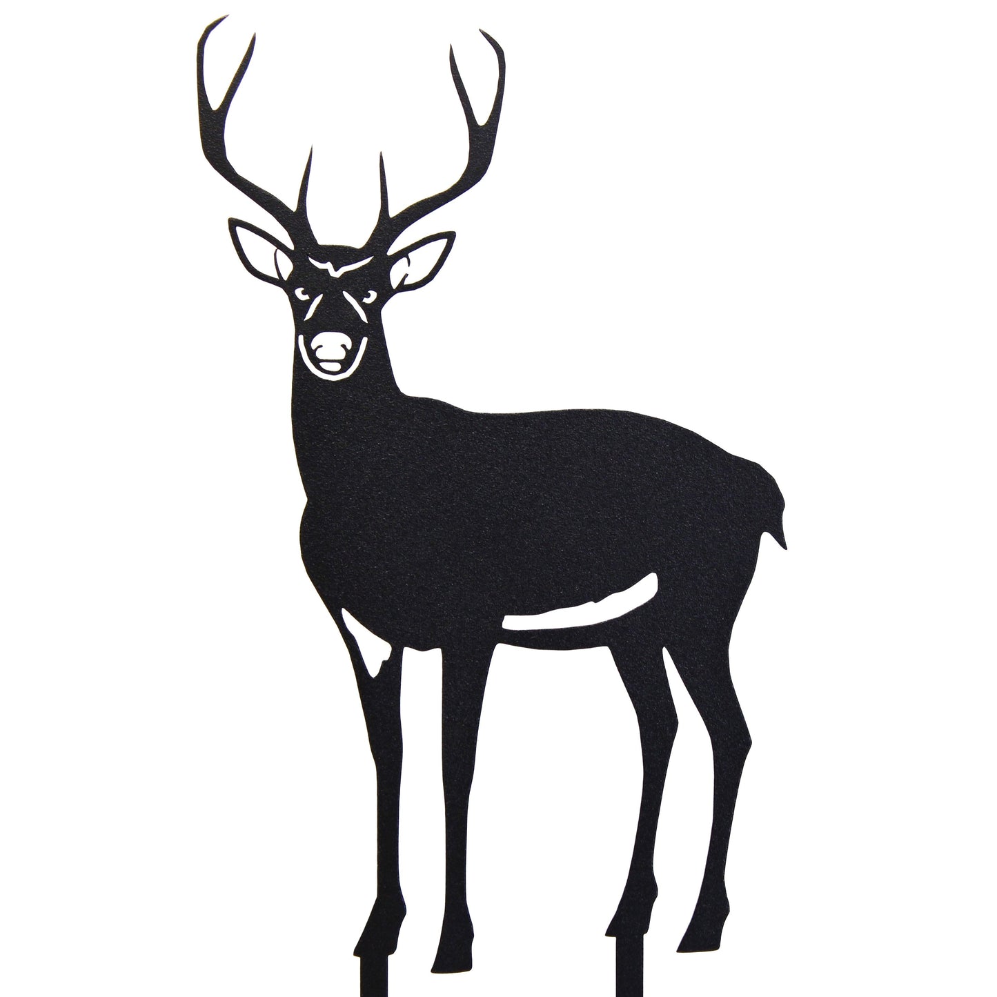 Deer - Buck