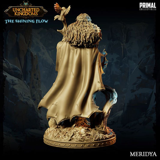Meridya - Druid