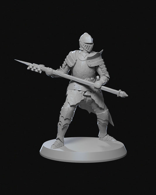 Ravenhold Knights