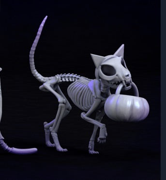 Halloween Cats