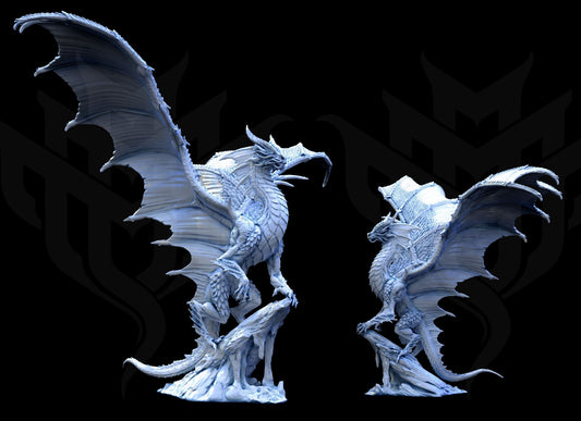 Gold Dragon