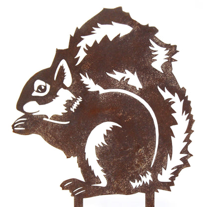 Squirrel