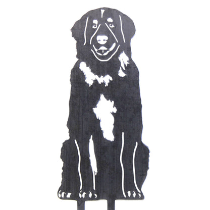 Leonberger