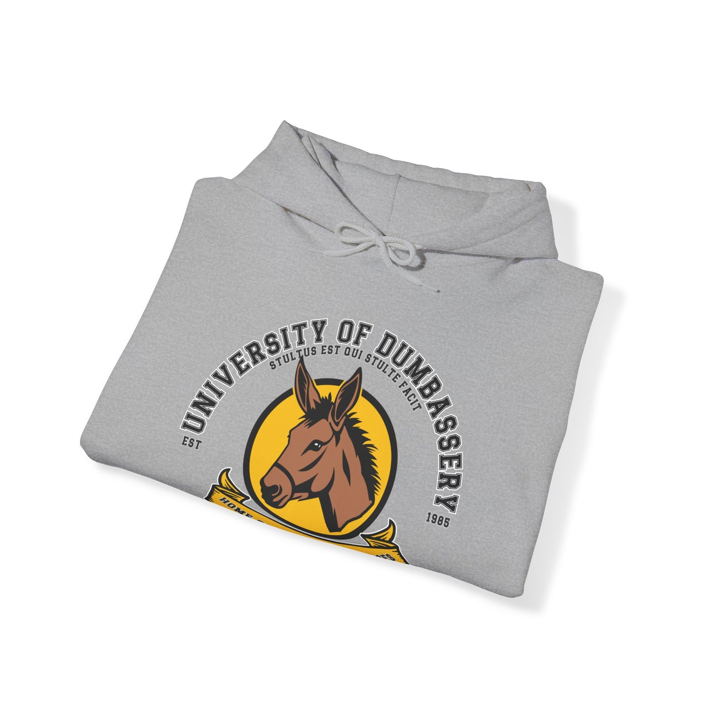 University of Dumbassery Unisex Heavy Blend™ Hooded Sweatshirt Graduation Day , Wise Fool Fashion, Hoodie-Hee University Sweater.