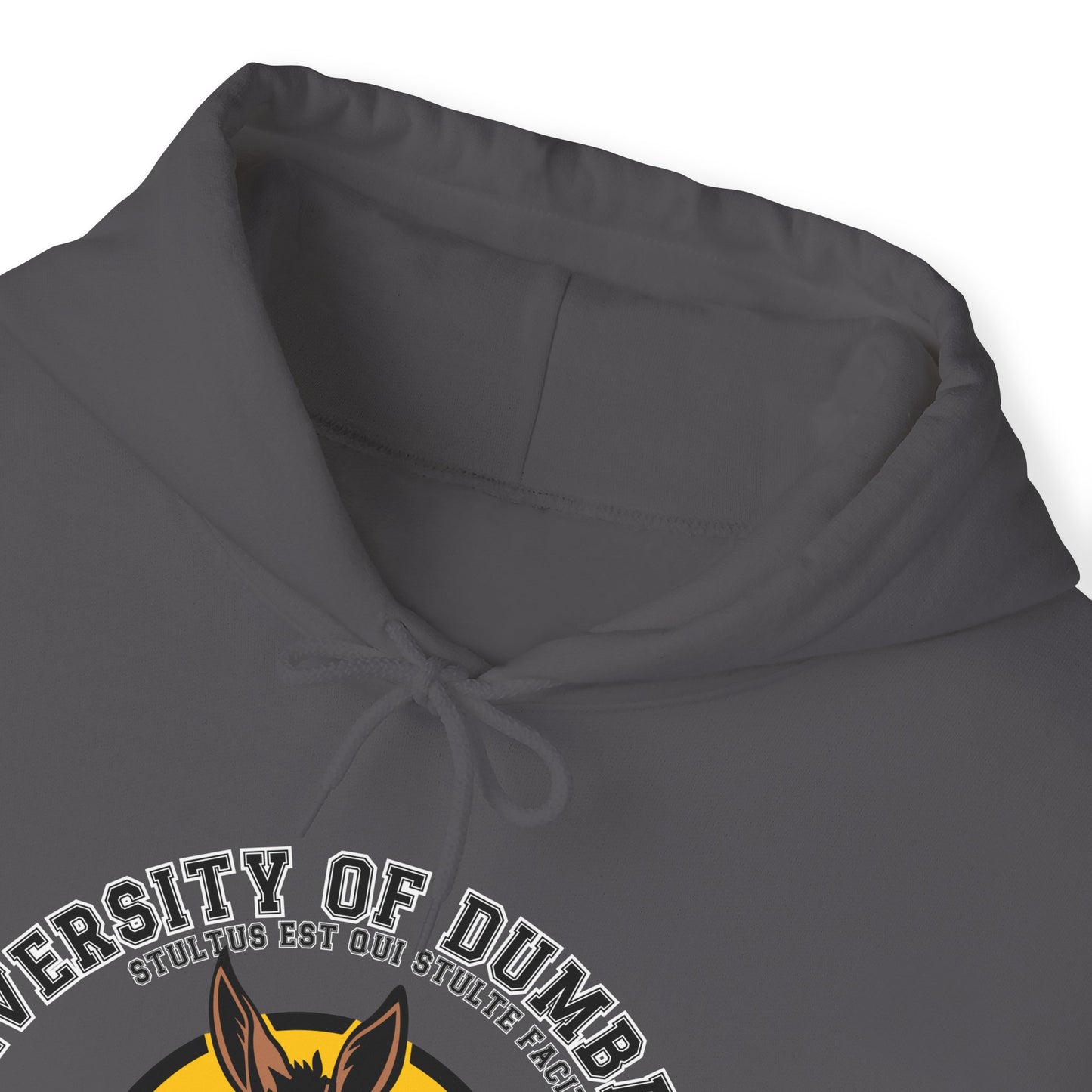 University of Dumbassery Unisex Heavy Blend™ Hooded Sweatshirt Graduation Day , Wise Fool Fashion, Hoodie-Hee University Sweater.