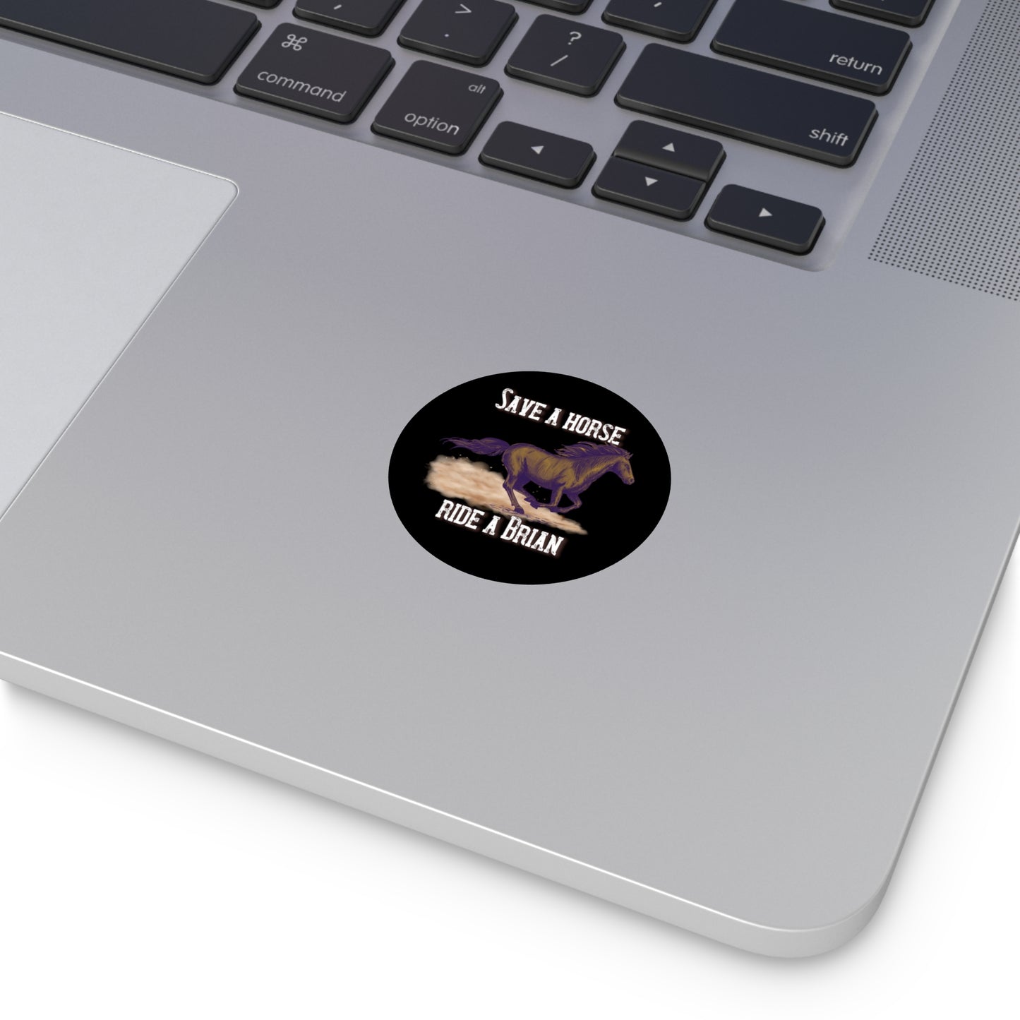 Save a Horse, Ride a Brian Round Vinyl Stickers