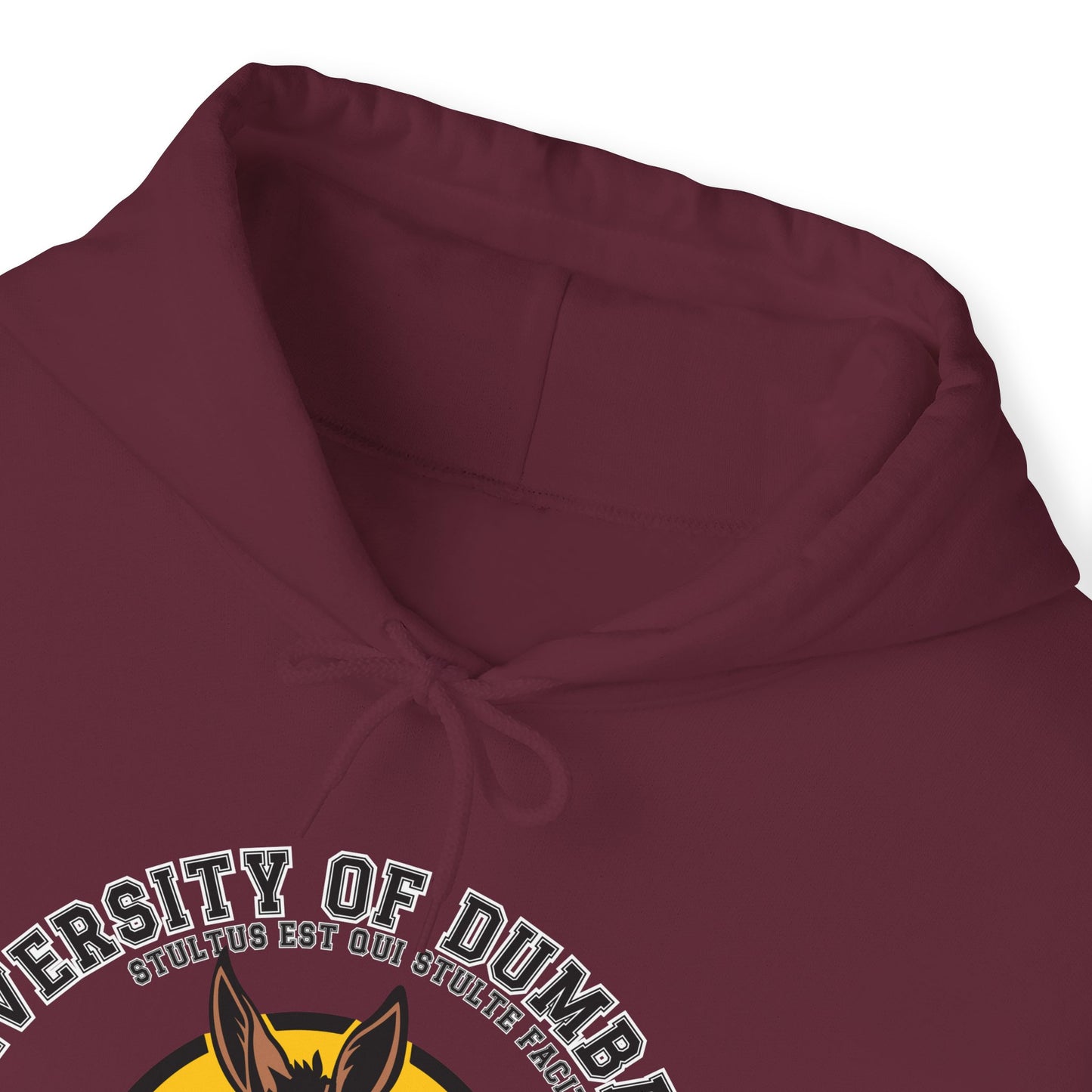 University of Dumbassery Unisex Heavy Blend™ Hooded Sweatshirt Graduation Day , Wise Fool Fashion, Hoodie-Hee University Sweater.