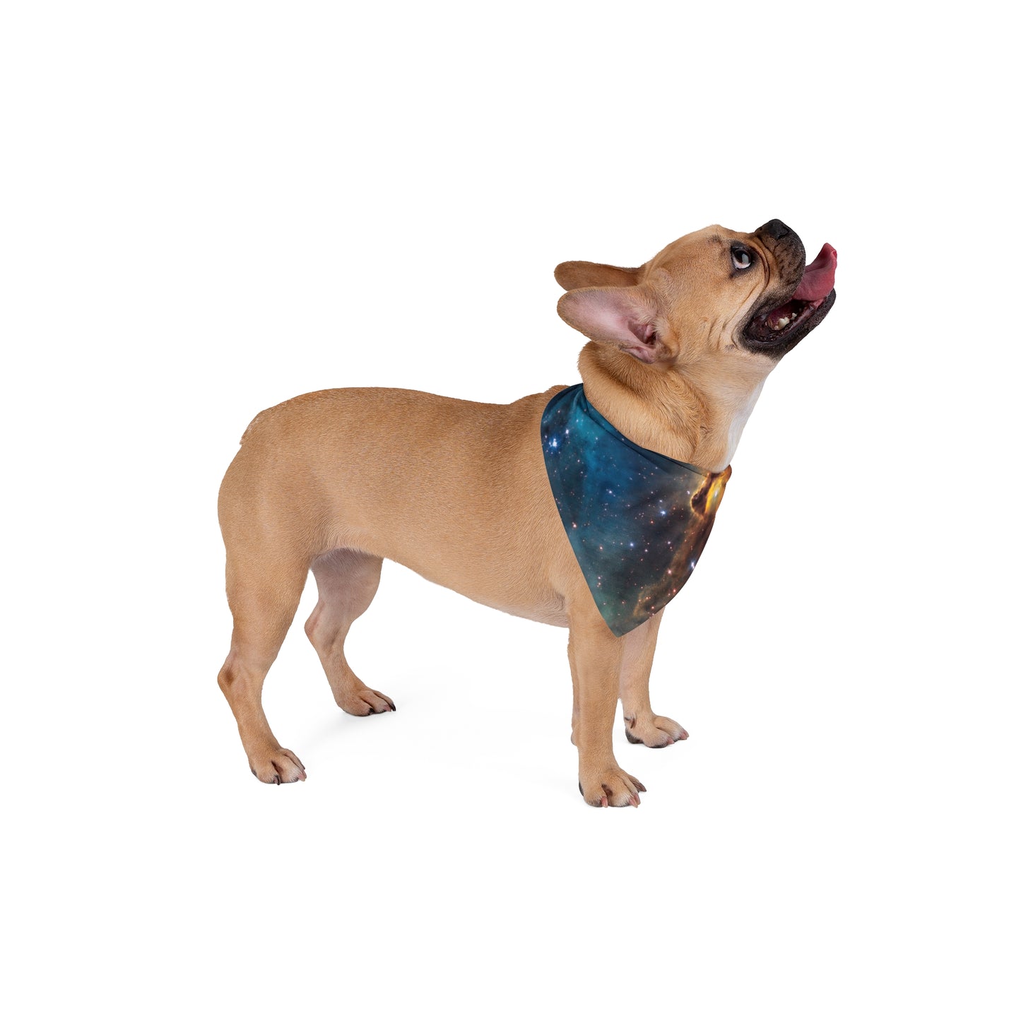 Colorful Galaxy Pet Bandana