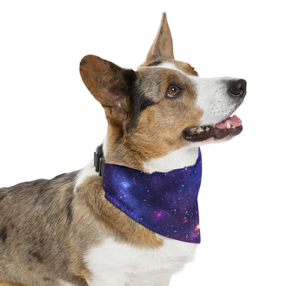 Purple Beyond the Stars Outer Space Out of this World Pet Bandana Collar