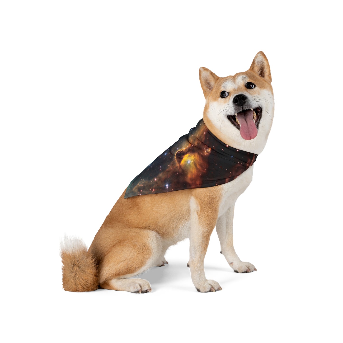 Colorful Galaxy Pet Bandana