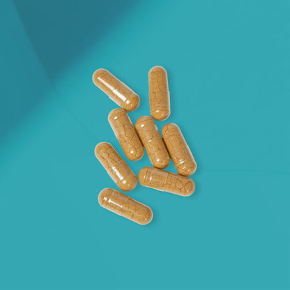 DirkX Mushroom Blend Capsules: Elevate Your Mind, Strengthen Your Body! (60 Capsules)
