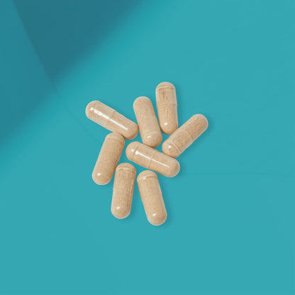 DirkX Brain Support Complex: Unlock Your Mental Edge, Elevate Your Focus! (60 Capsules)