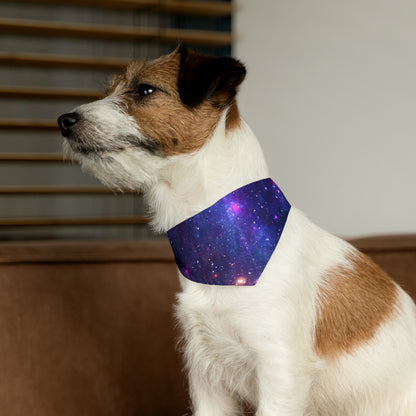 Purple Beyond the Stars Outer Space Out of this World Pet Bandana Collar