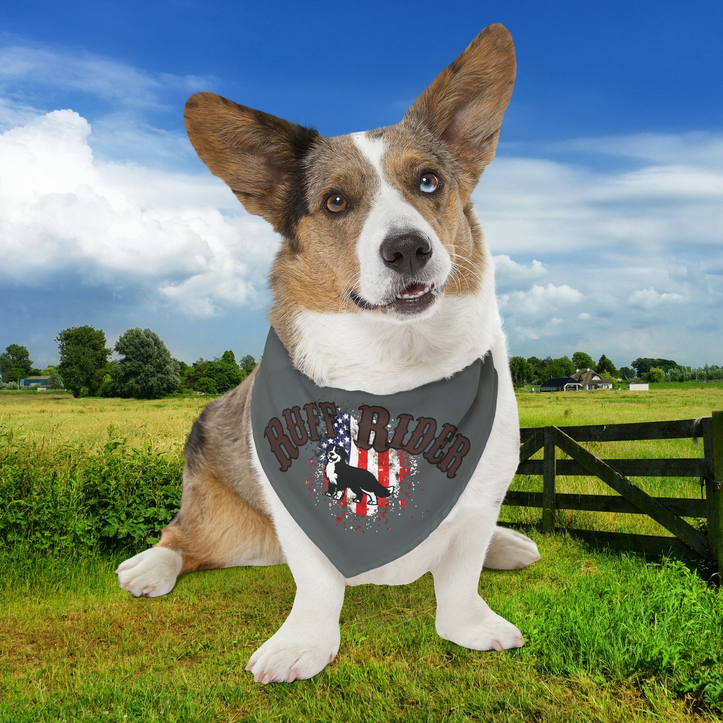 Patriotic Ruff Rider Pet Bandana Collar