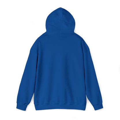 "DirkyThreadz 'Bro! Is That You?' Hoodie - Quirky Cartoon Chick and Egg Design"