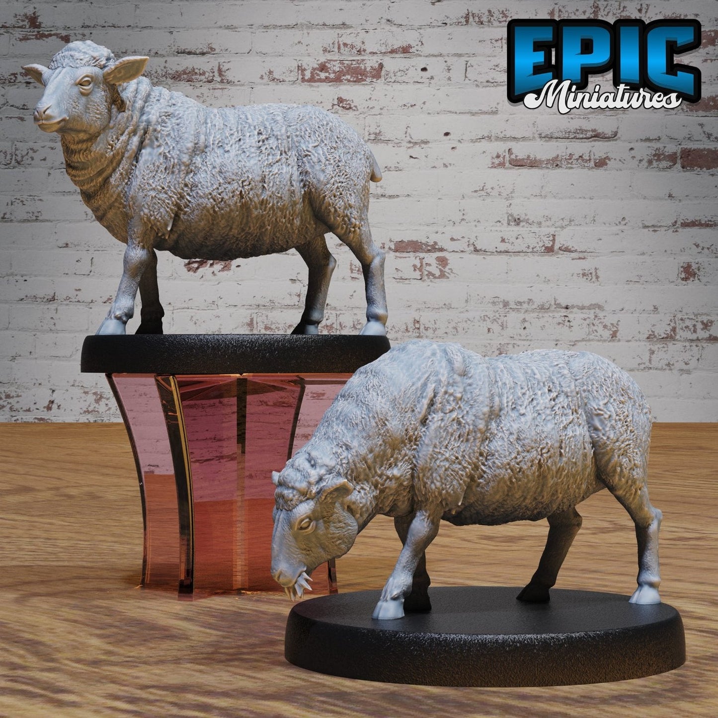 Sheep
