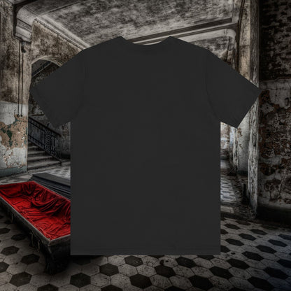 Across the Pond Edition LEVYVERSE: Where Punchlines Defy Gravity Unisex Jersey Short Sleeve Tee #levyverse Comedy IN Multiple Sizes
