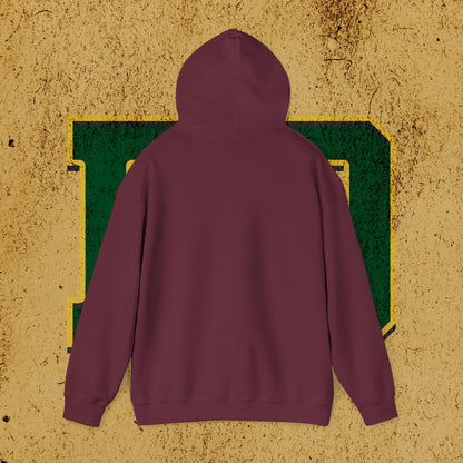 Paddle Daddy Hoodie, Unisex Hooded Sweatshirt for Dads, Elite-ish Comfort for the Ironically Refined