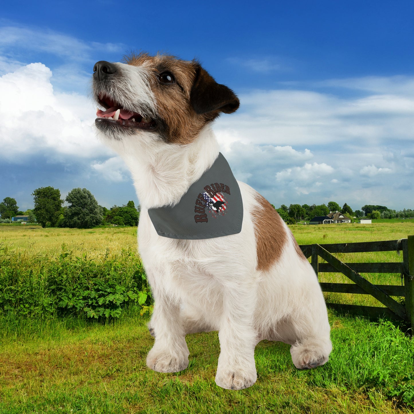 Patriotic Ruff Rider Pet Bandana Collar