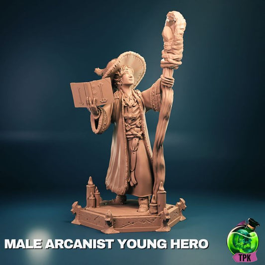 Young Male Wizard Hero - Bust & Full Miniature