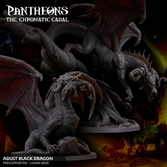 Adult Black Dragon