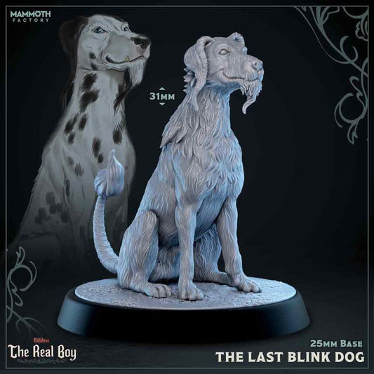 The Last Blink Dog