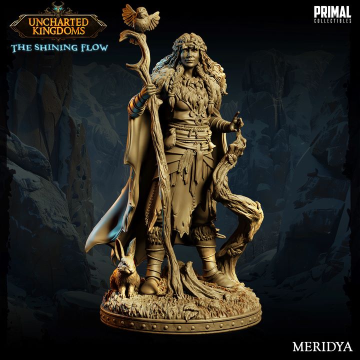 Meridya - Druid