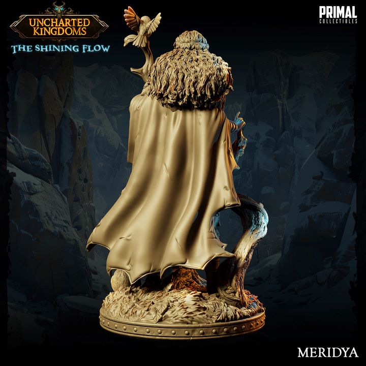 Meridya - Druid