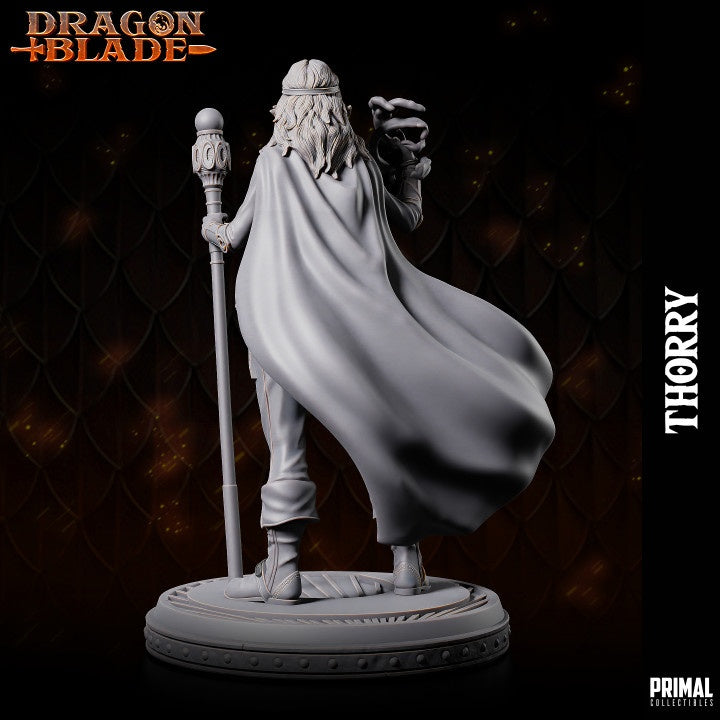 Female Wizard Thorry