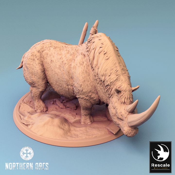 Northern Rhinos