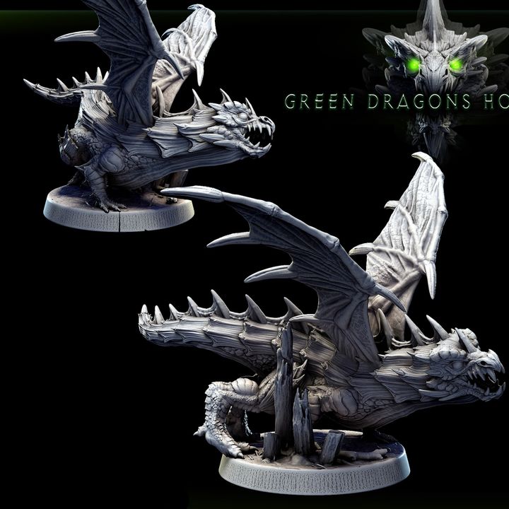 Young Green Dragon
