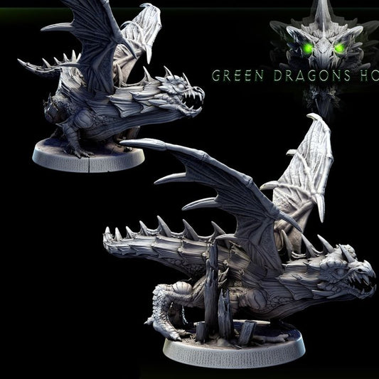 Young Green Dragon