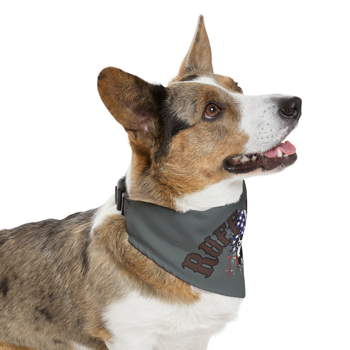 Patriotic Ruff Rider Pet Bandana Collar