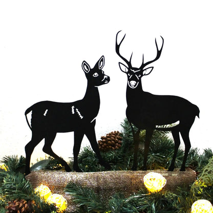 Deer - Buck