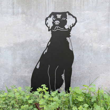 Brittany Spaniel