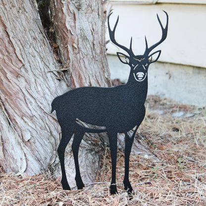 Deer - Buck