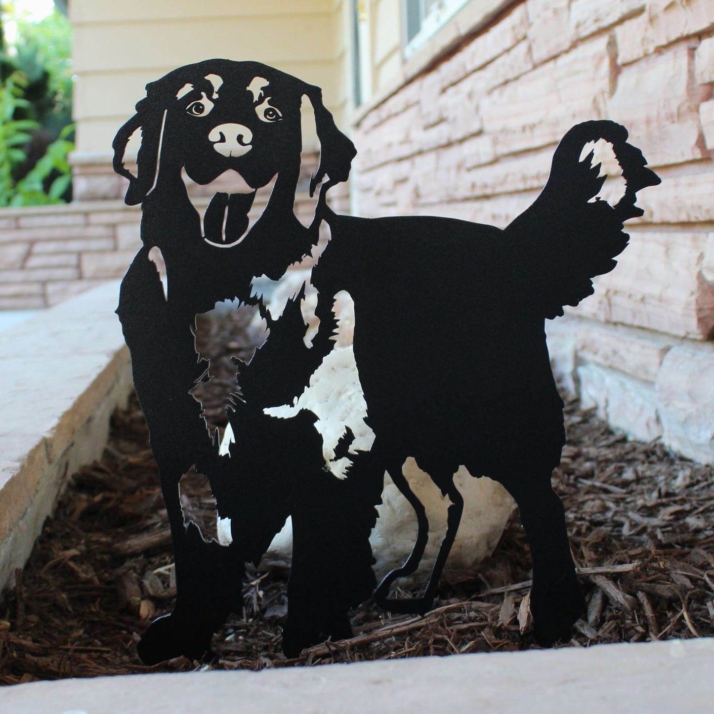 Golden Retriever - Standing