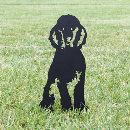 Poodle