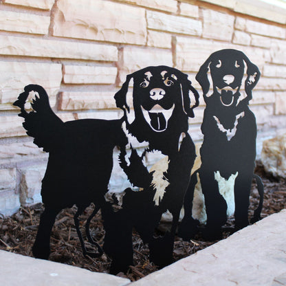 Golden Retriever - Standing