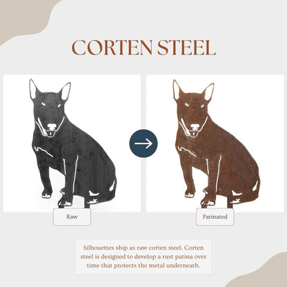 Bull Terrier