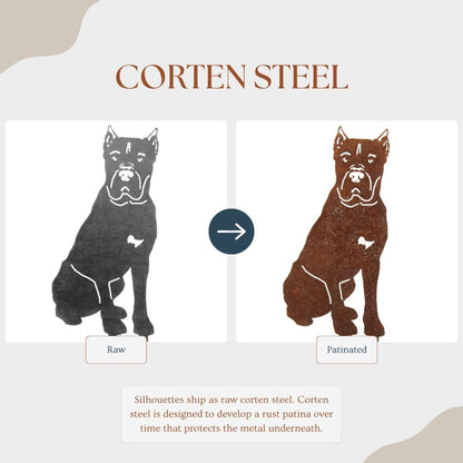 Cane Corso