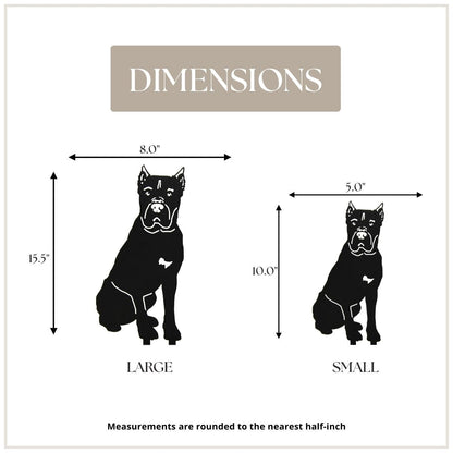 Cane Corso