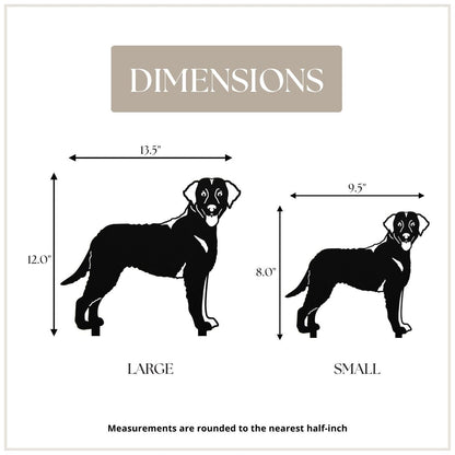 Chesapeake Bay Retriever