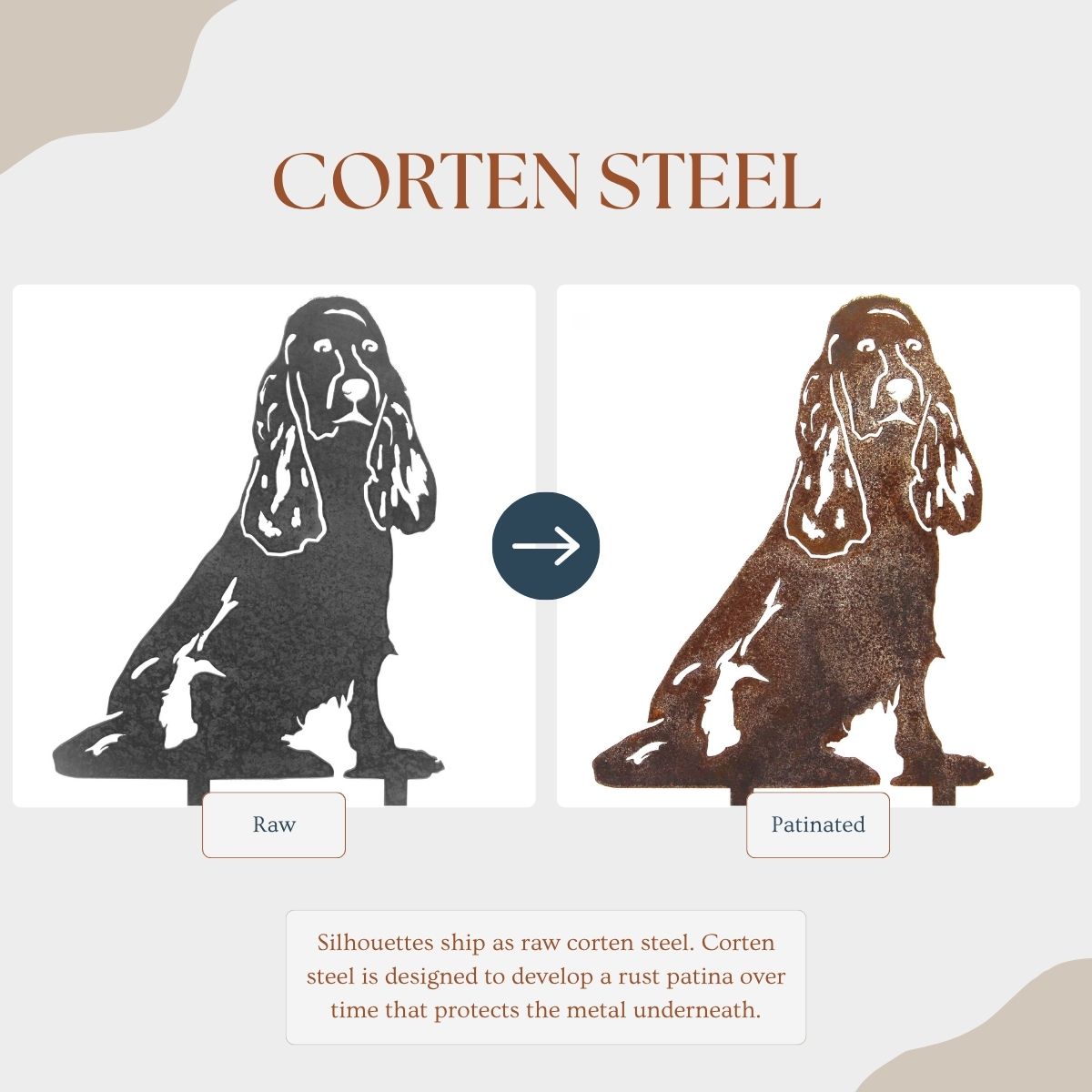 Cocker Spaniel