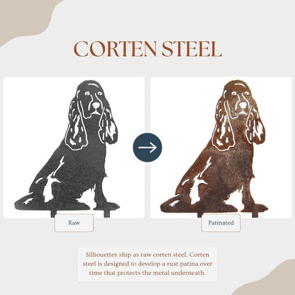 Cocker Spaniel