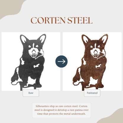 Corgi