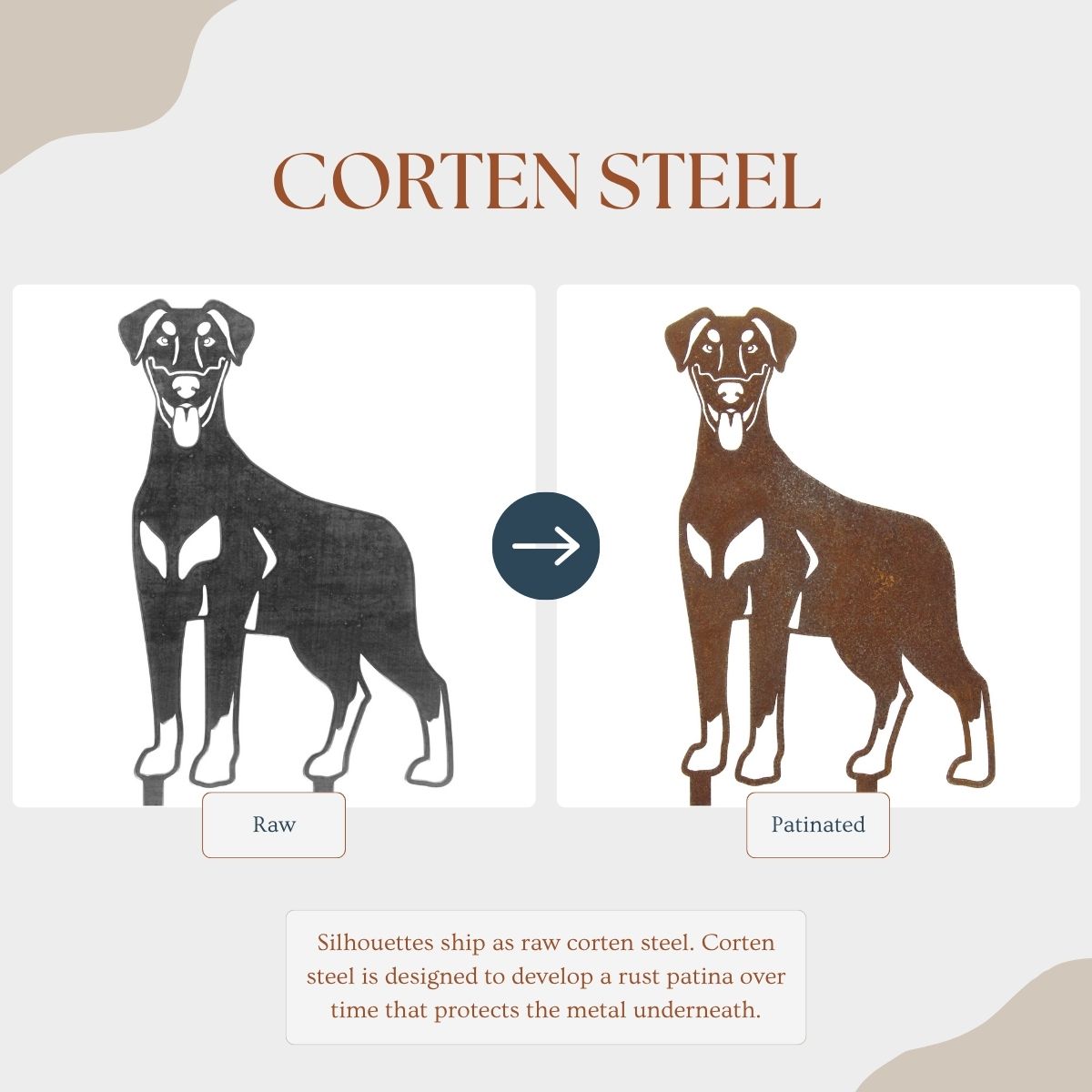 Doberman Pinscher - Natural Ear