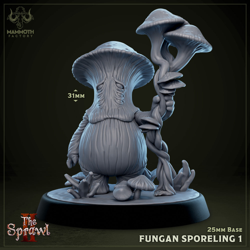Fungal Sporelings