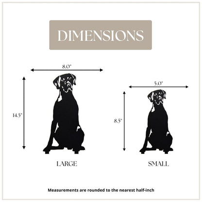 German Shorthaired Pointer