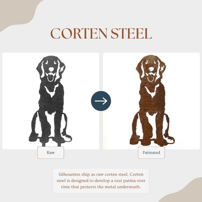 Flat Coated Retriever